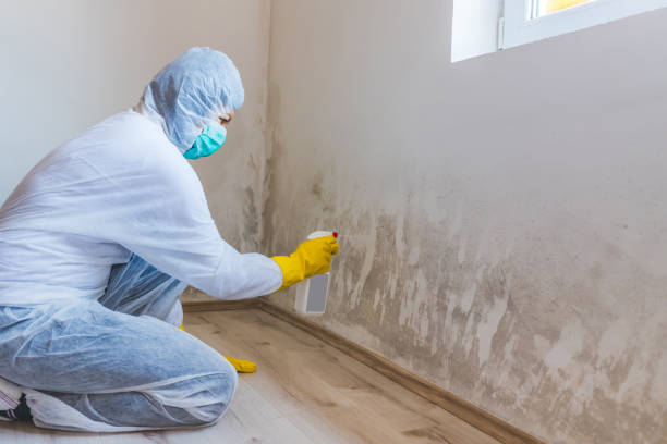 Mold inspector in Williston Park performing thermal imaging